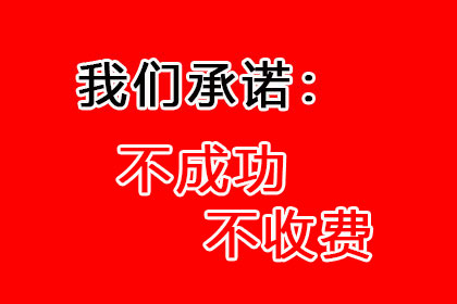 法院诉讼解决债务问题有何后果？